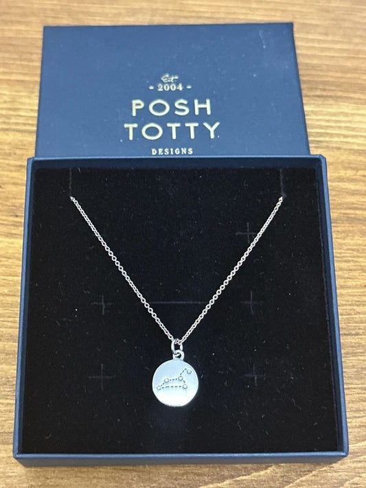 Posh Totty Constellation Crystal of Gemini Necklace - 925 Silver