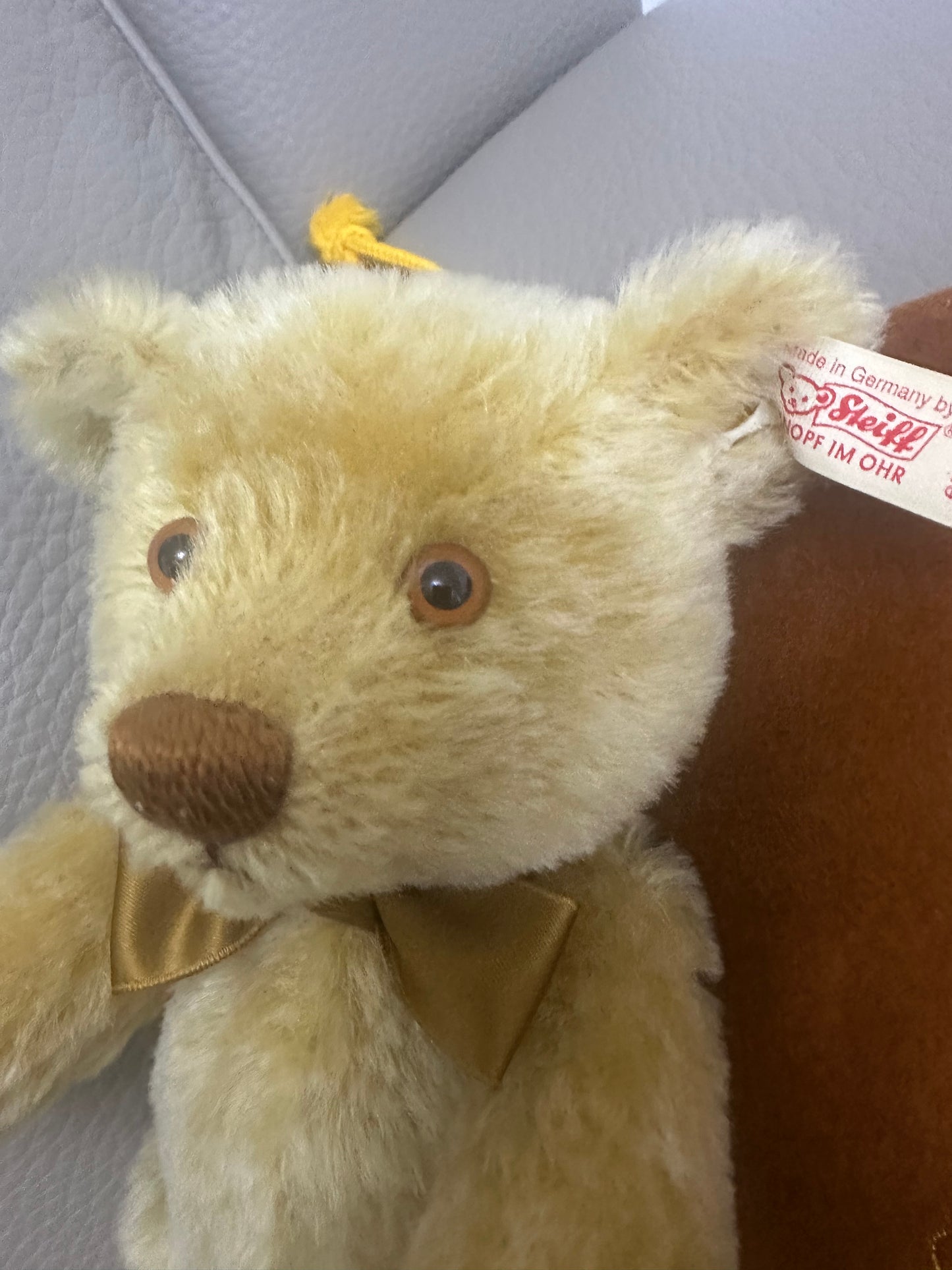 Steiff "George" teddy bear,2000 limited edition for Teddy Bears of Witney