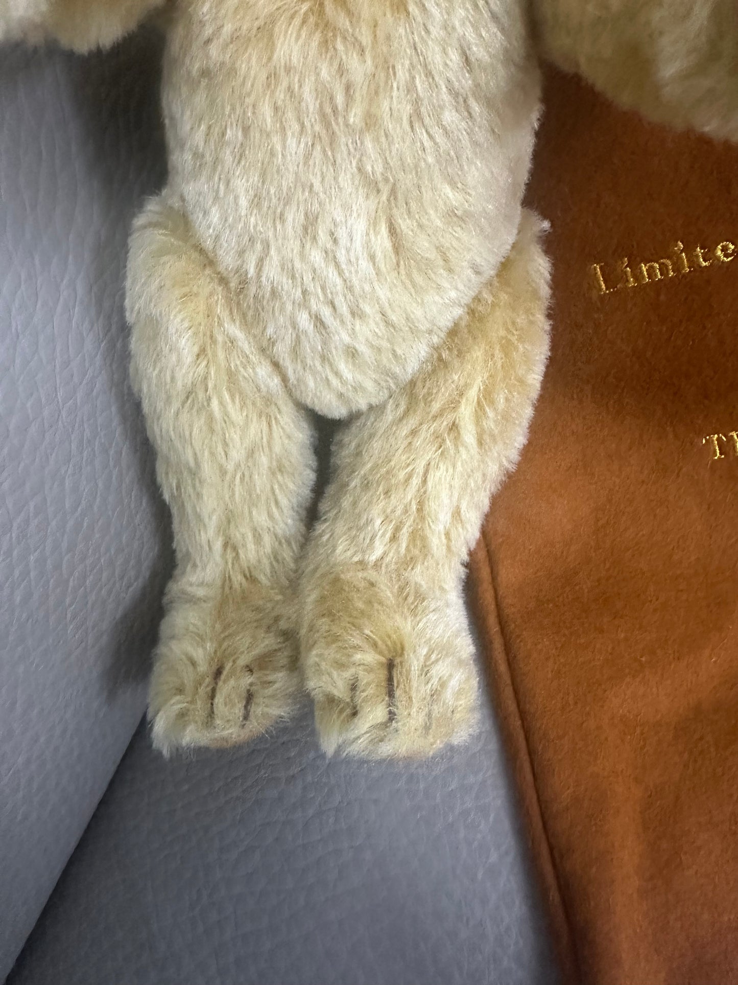 Steiff "George" teddy bear,2000 limited edition for Teddy Bears of Witney
