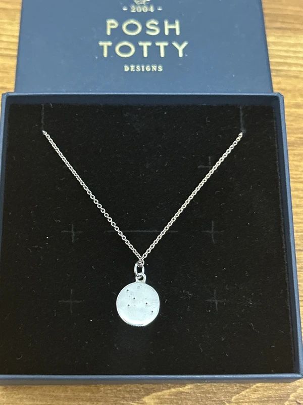 Posh Totty Constellation Crystal of Gemini Necklace - 925 Silver