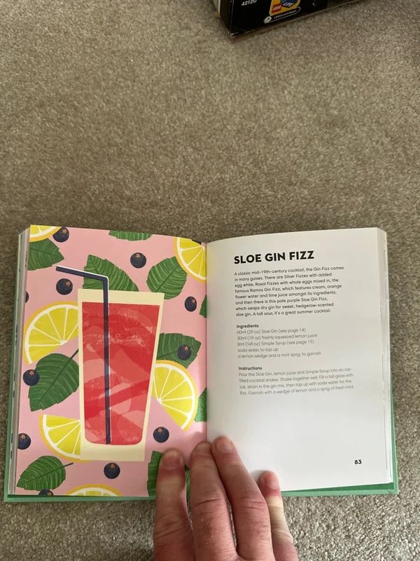 Gin made me do it - 60 Beautifully Botanical Cocktails