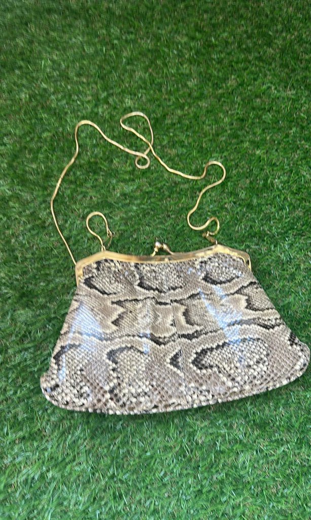 Vintage Snakeskin Frame Shoulder Bag with Gold Chain